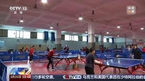 BSport体育官网 乒乓球台胶印